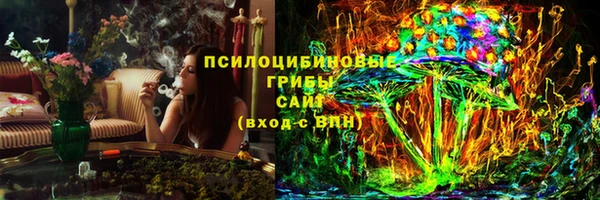 шишки Володарск